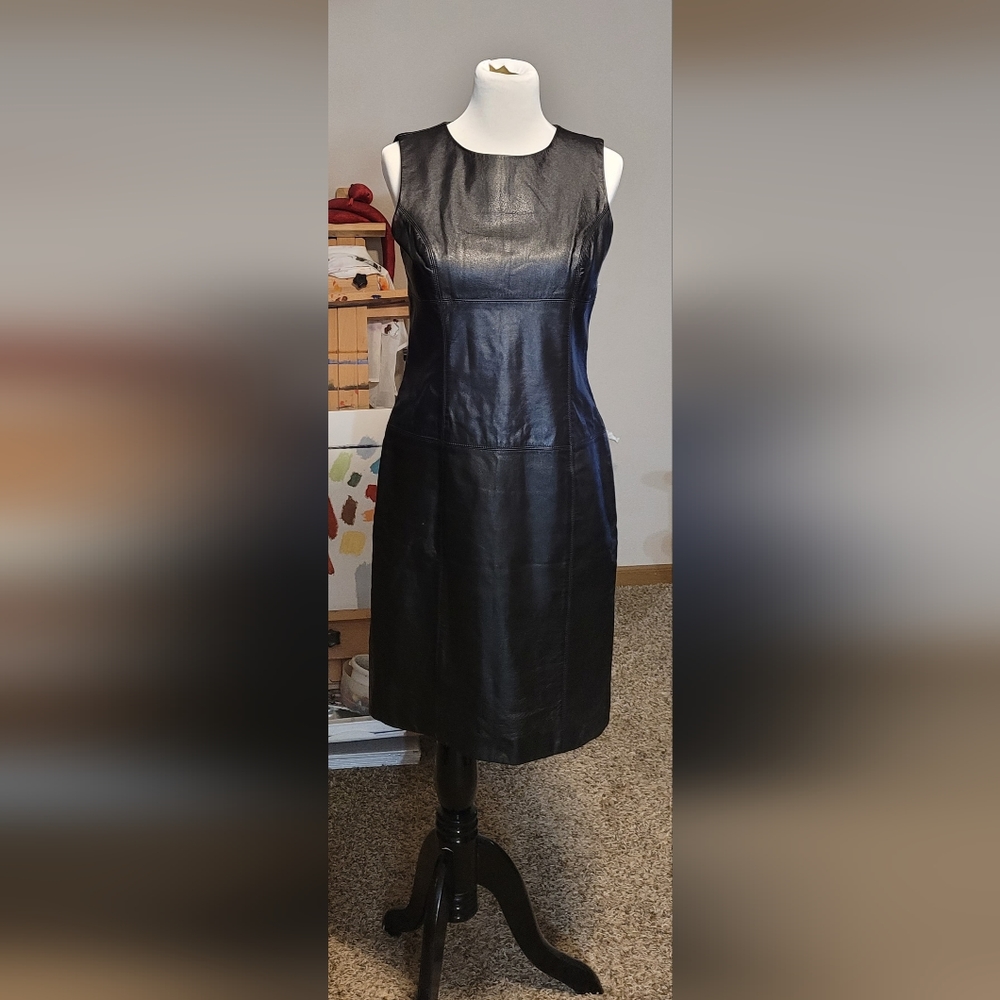 Leather sheath dress, spencer jeremy